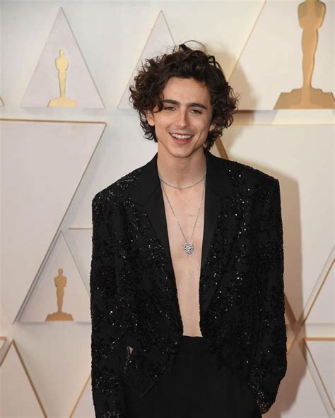 timothee chalamet at oscars.